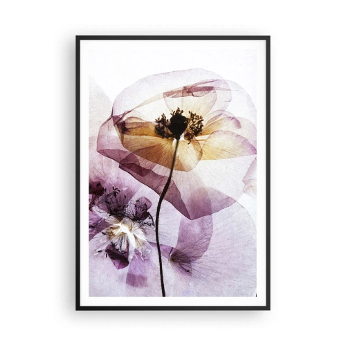 Póster en marco negro - Cuerpo de flor - 70x100 cm