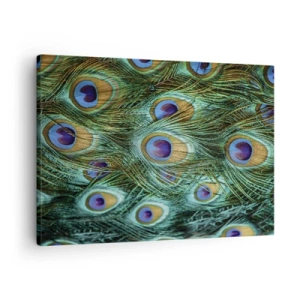 Cuadro sobre lienzo - Impresión de Imagen - Detalles de plumas de pavo real en ricos colores. - 70x50cm - Mirada de pavo real - Decoración de pared moderna para salón y dormitorio ARTTOR