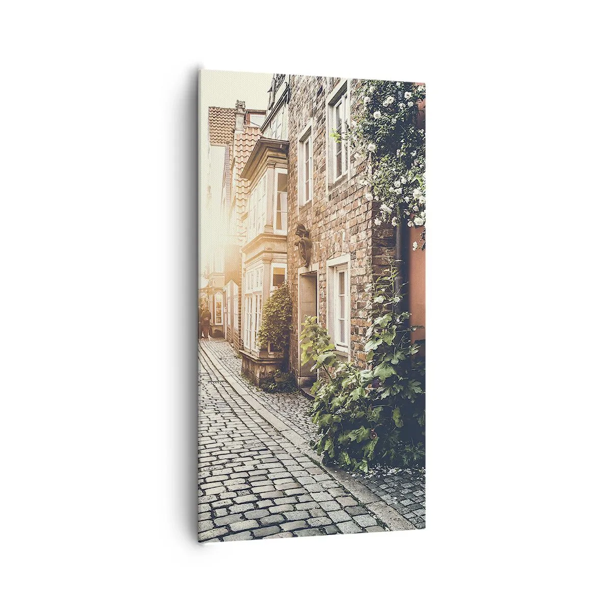 Cuadro sobre lienzo - Impresión de Imagen - El callejón de las rosas - 65x120 cm