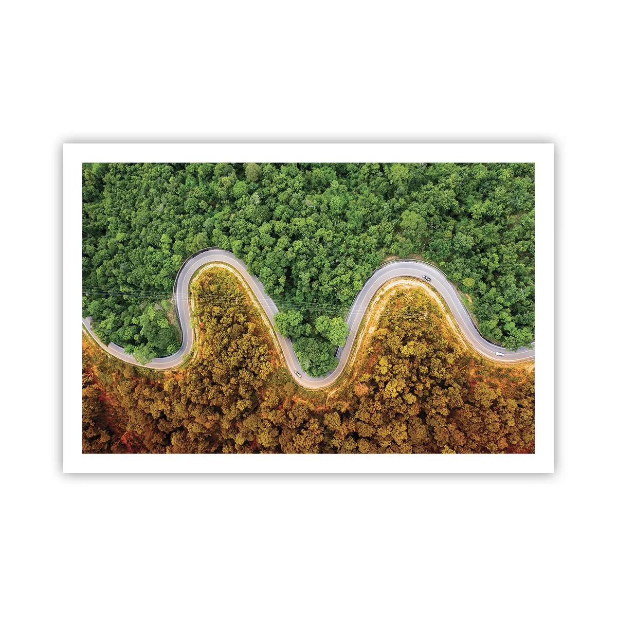 Póster - Frontera serpenteante - 91x61 cm