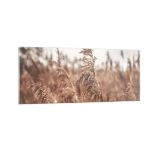 Cuadro sobre vidrio - Impresiones sobre Vidrio - El otoño ya está en los campos - 100x40 cm