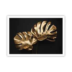Póster - Hojas de monstera doradas sobre fondo negro - 100x70cm - Tesoros de la naturaleza - Decoración de pared moderna para salón y dormitorio ARTTOR