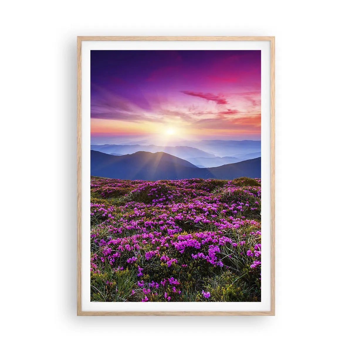 Póster en marco roble claro - Dulce aroma a frescura - 70x100 cm