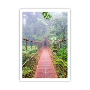 Póster - Suspendido sobre las copas - 70x100 cm