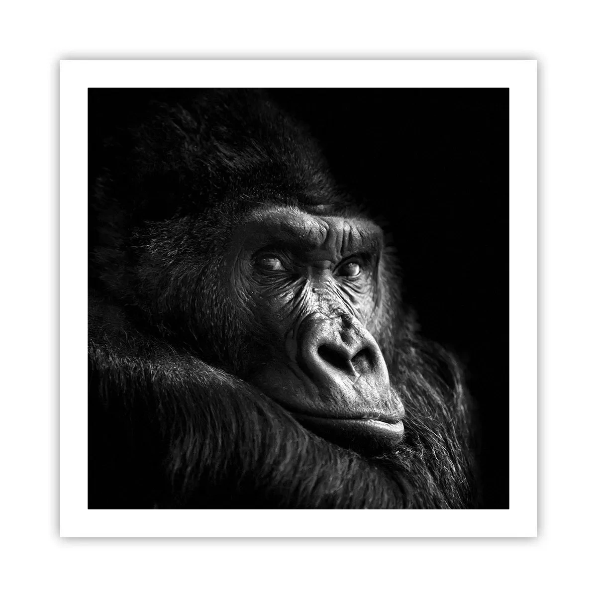 Póster - ¿Y qué estás mirando? - 60x60 cm