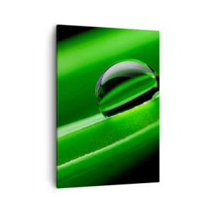 Cuadro sobre lienzo - Impresión de Imagen - Primer plano de una gota de rocío sobre una hoja verde - 50x70cm - La vida de cerca - Decoración de pared moderna para salón y dormitorio ARTTOR