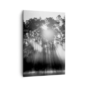 Cuadro sobre lienzo - Impresión de Imagen - Bosque blanco y negro en la niebla de la mañana. - 50x70cm - Sol imparable - Decoración de pared moderna para salón y dormitorio ARTTOR