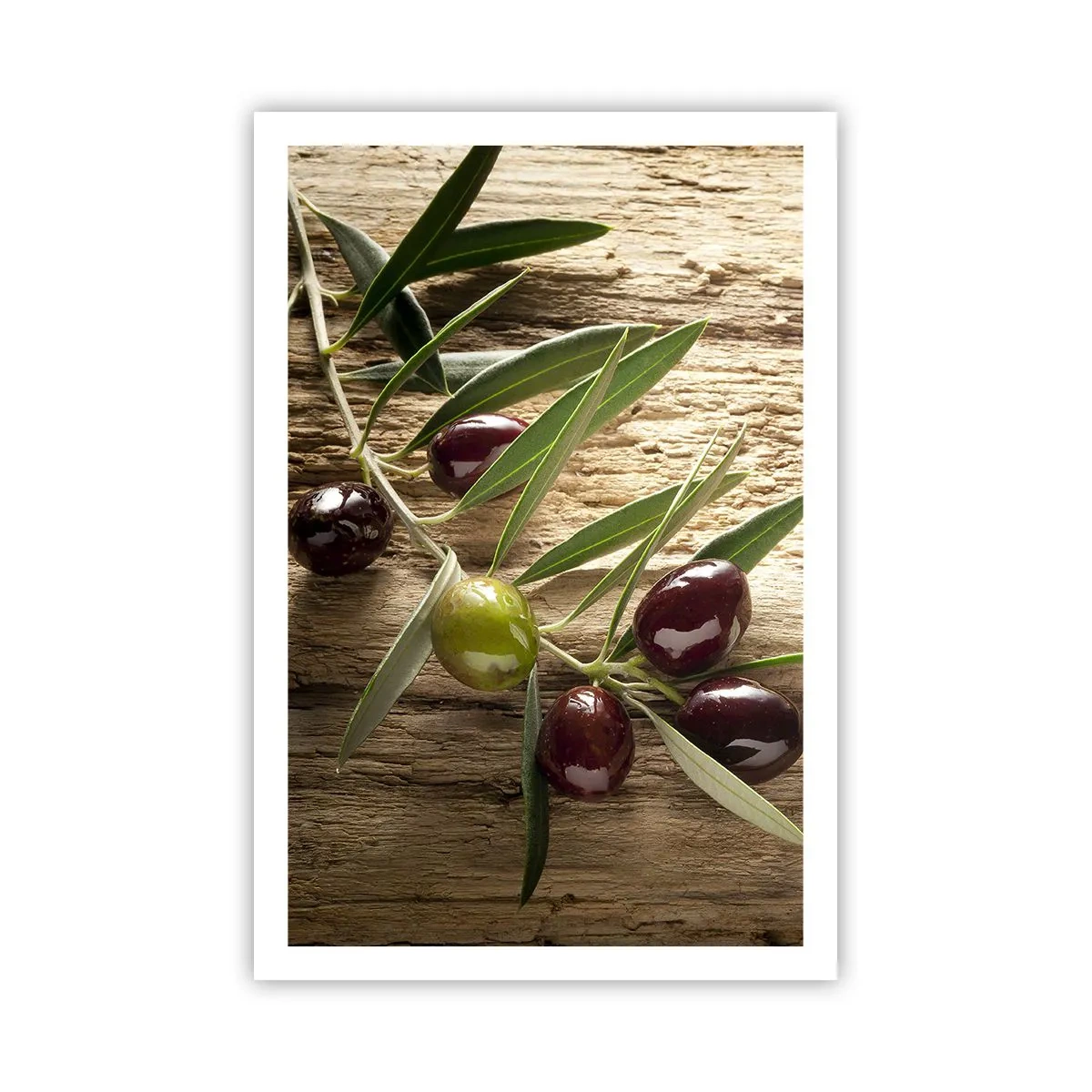 Póster - Directamente de la naturaleza - 61x91 cm