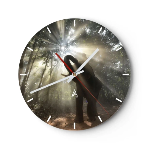Reloj de pared - Reloj de vidrio - Un elefante bajo los rayos de luz que penetran en el bosque. - 30x30cm - Bajo una estrella de la suerte - Decoración de pared moderna para salón, cocina y dormitorio ARTTOR