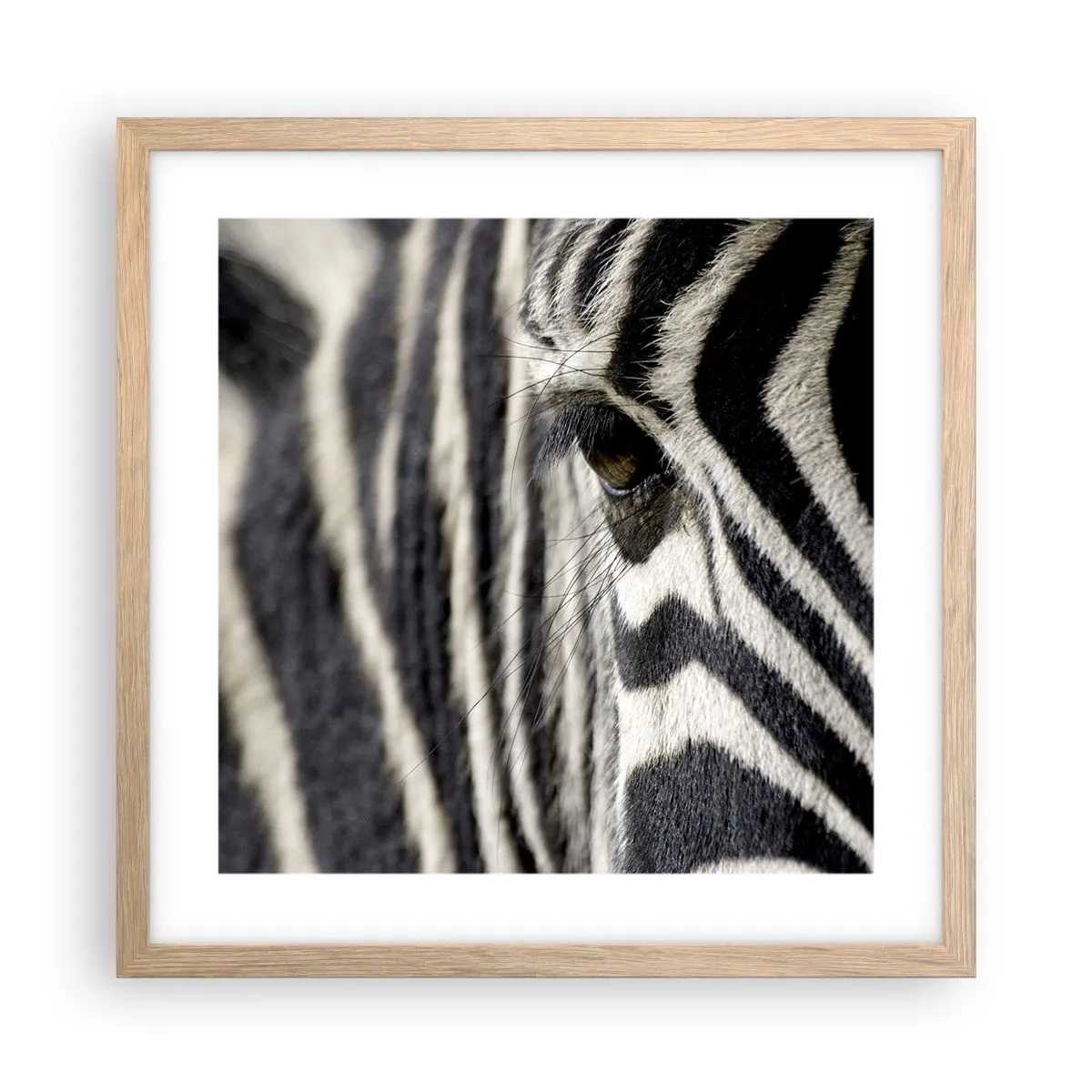 Póster en marco roble claro - Retrato a rayas - 40x40 cm