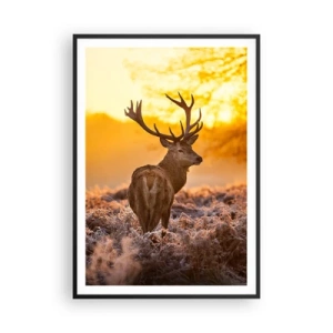 Póster en marco negro - Rey del bosque de otoño - 70x100 cm