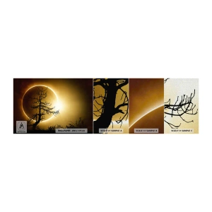 Muestra de fotomural Premium Canvas - Eclipse total - Eclipse, Árbol, Paisaje - 100x30 cm