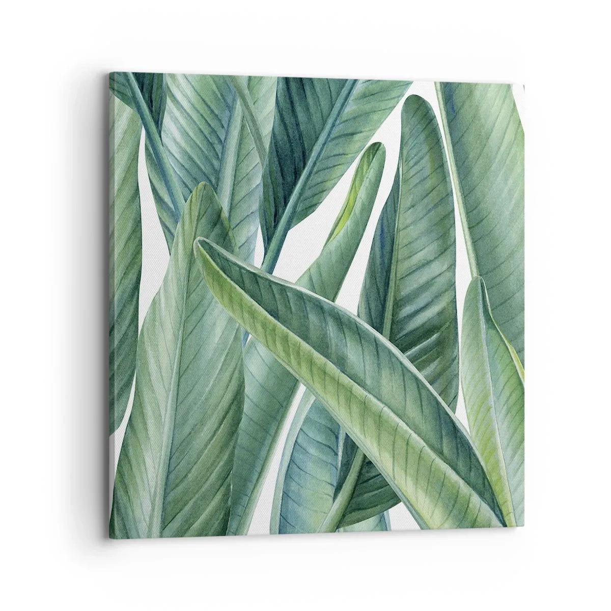 Cuadro sobre lienzo - Impresión de Imagen - Vegetación en estado puro - 70x70 cm