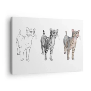 Cuadro sobre lienzo - Impresión de Imagen - La evolución del dibujo de un gato desde el boceto hasta la forma coloreada - 70x50cm - Lección de dibujo - Decoración de pared moderna para salón y dormitorio ARTTOR