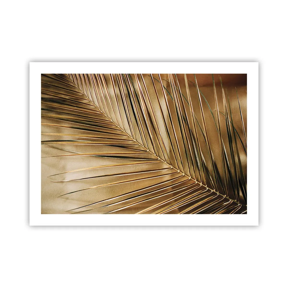 Póster - Una columnata natural - 70x50 cm