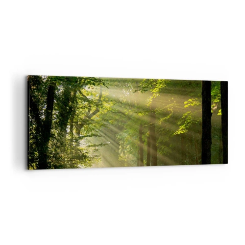 Cuadro sobre lienzo - Impresión de Imagen - Camino forestal con rayos de sol brillando a través de los árboles. - 120x50cm - Un momento en el bosque - Decoración de pared moderna para salón y dormitorio ARTTOR