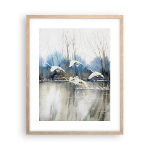 Póster en marco roble claro - Como en un cuento de cisnes salvajes - 40x50 cm