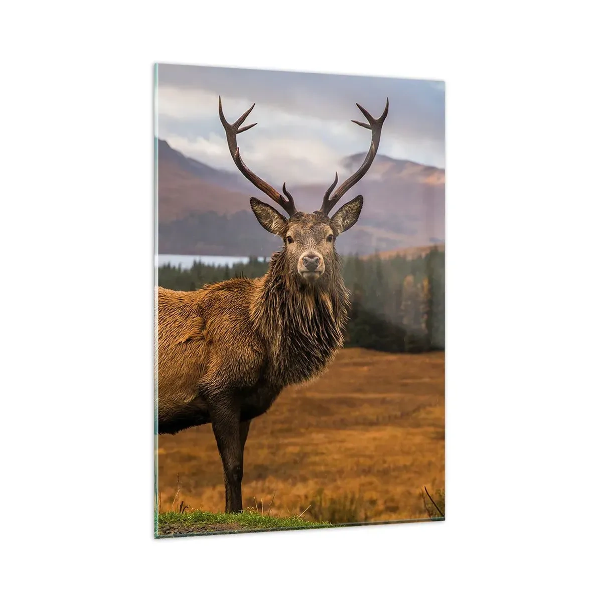 Cuadro sobre vidrio - Impresiones sobre Vidrio - Un ciervo con el telón de fondo de un paisaje montañoso con lagos y bosques. - 80x120cm - La majestuosidad de la naturaleza - Decoración de pared moderna para salón y dormitorio ARTTOR