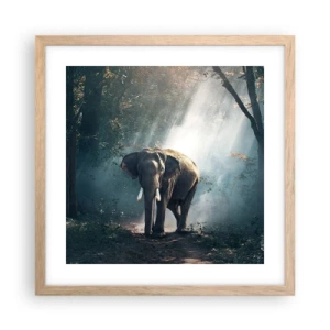 Póster en marco roble claro - Un paseo tranquilo - 40x40 cm