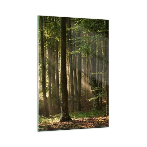 Cuadro sobre vidrio - Impresiones sobre Vidrio - Los rayos del sol penetran a través de los árboles en el bosque. - 80x120cm - Radiante en una mañana de primavera - Decoración de pared moderna para salón y dormitorio ARTTOR