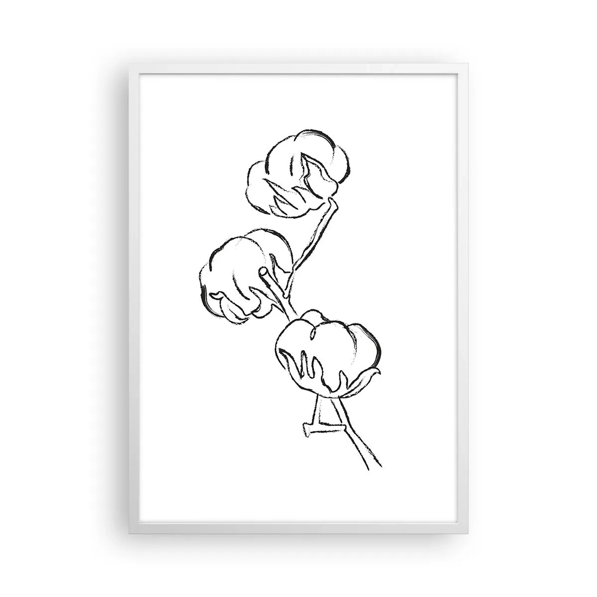 Póster en marco blanco - Plumón de algodón - 50x70 cm