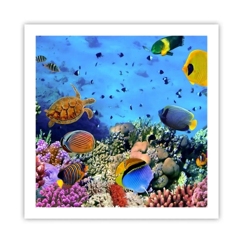 Póster - Y qué sabemos de la vida... - 60x60 cm