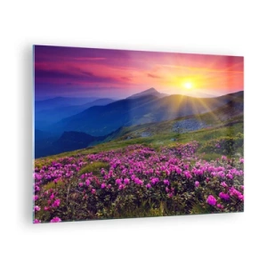 Cuadro sobre vidrio - Impresiones sobre Vidrio - Prados de flores en las montañas al amanecer - 70x50cm - ... Y el aroma a hierbas está por todas partes - Decoración de pared moderna para salón y dormitorio ARTTOR