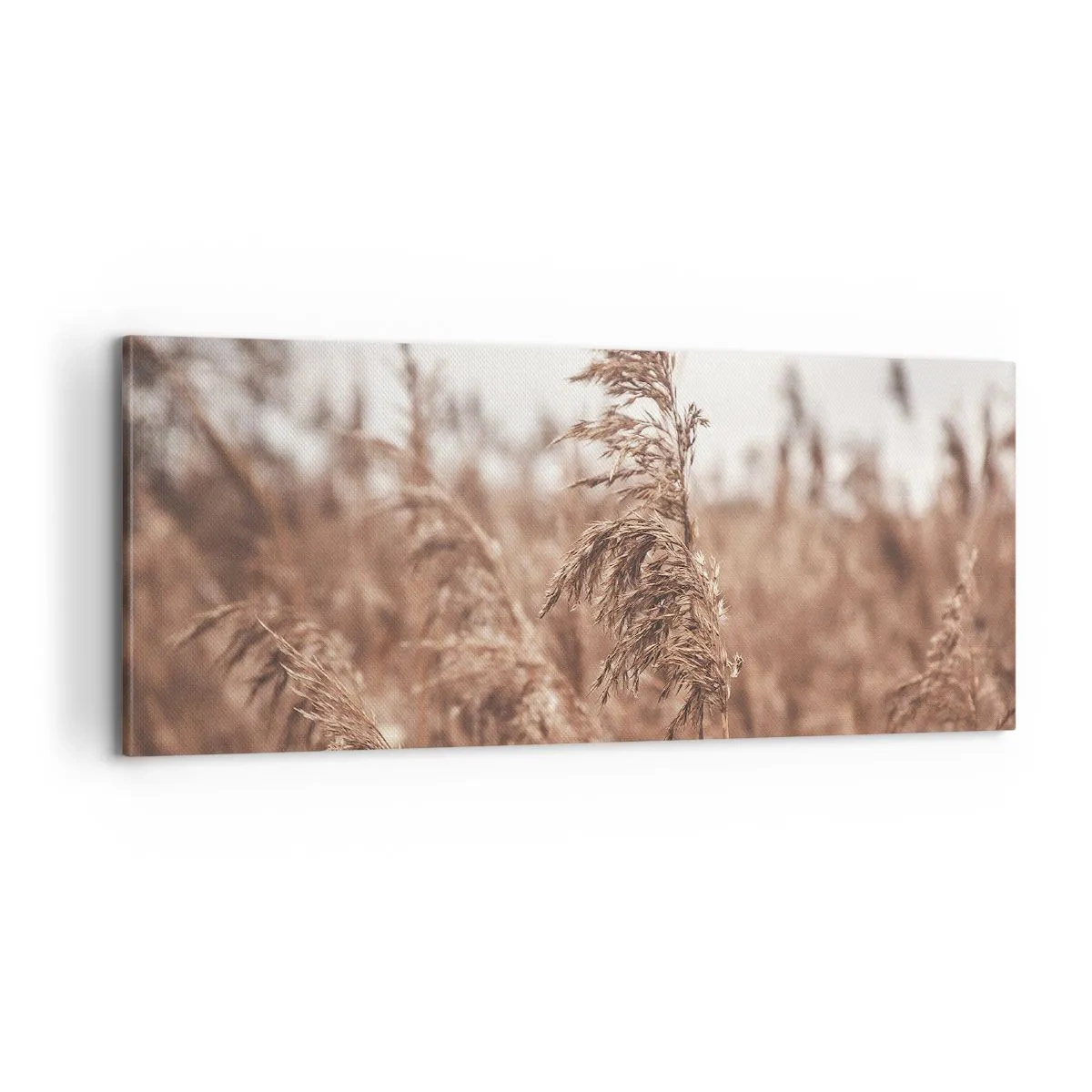 Cuadro sobre lienzo - Impresión de Imagen - El otoño ya está en los campos - 100x40 cm