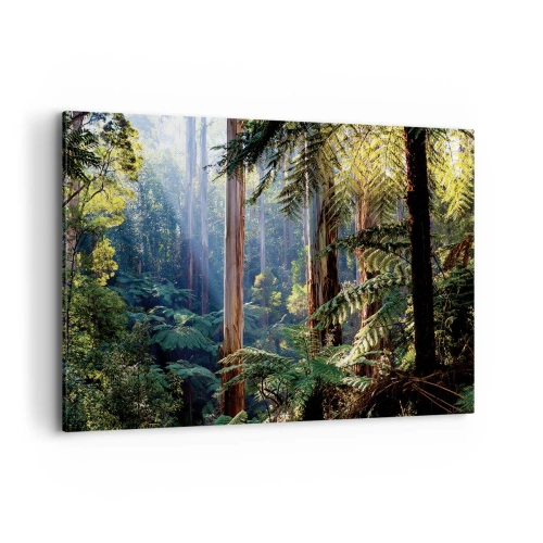 Cuadro sobre lienzo - Impresión de Imagen - Bosque tropical iluminado por los rayos del sol - 120x80cm - Un cuento de hadas del bosque - Decoración de pared moderna para salón y dormitorio ARTTOR