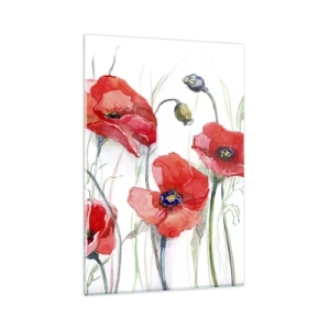 Cuadro sobre vidrio - Impresiones sobre Vidrio - Amapolas de acuarela sobre un fondo delicado - 80x120cm - Flores polacas - Decoración de pared moderna para salón y dormitorio ARTTOR