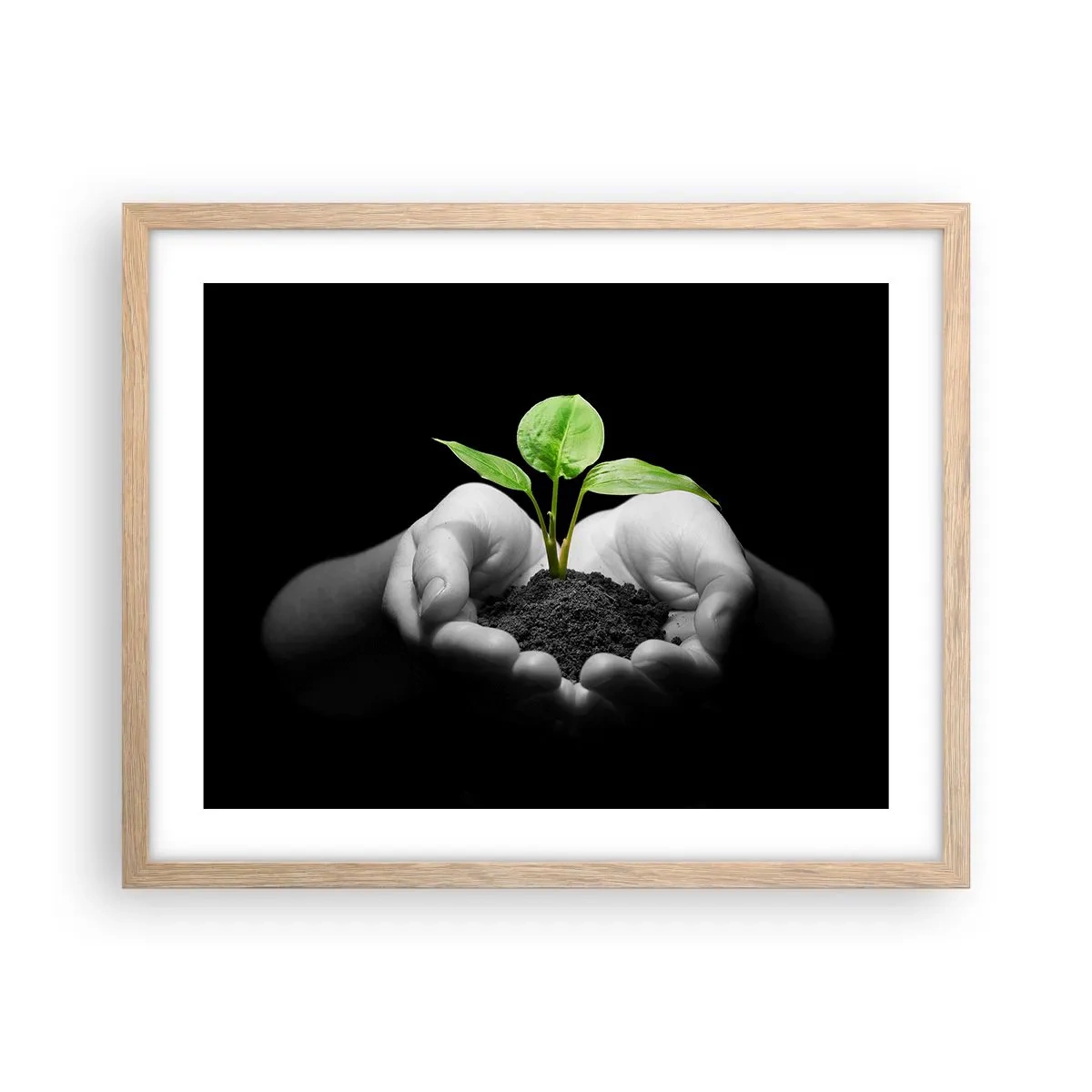 Póster en marco roble claro - Amo la naturaleza, la protejo - 50x40 cm