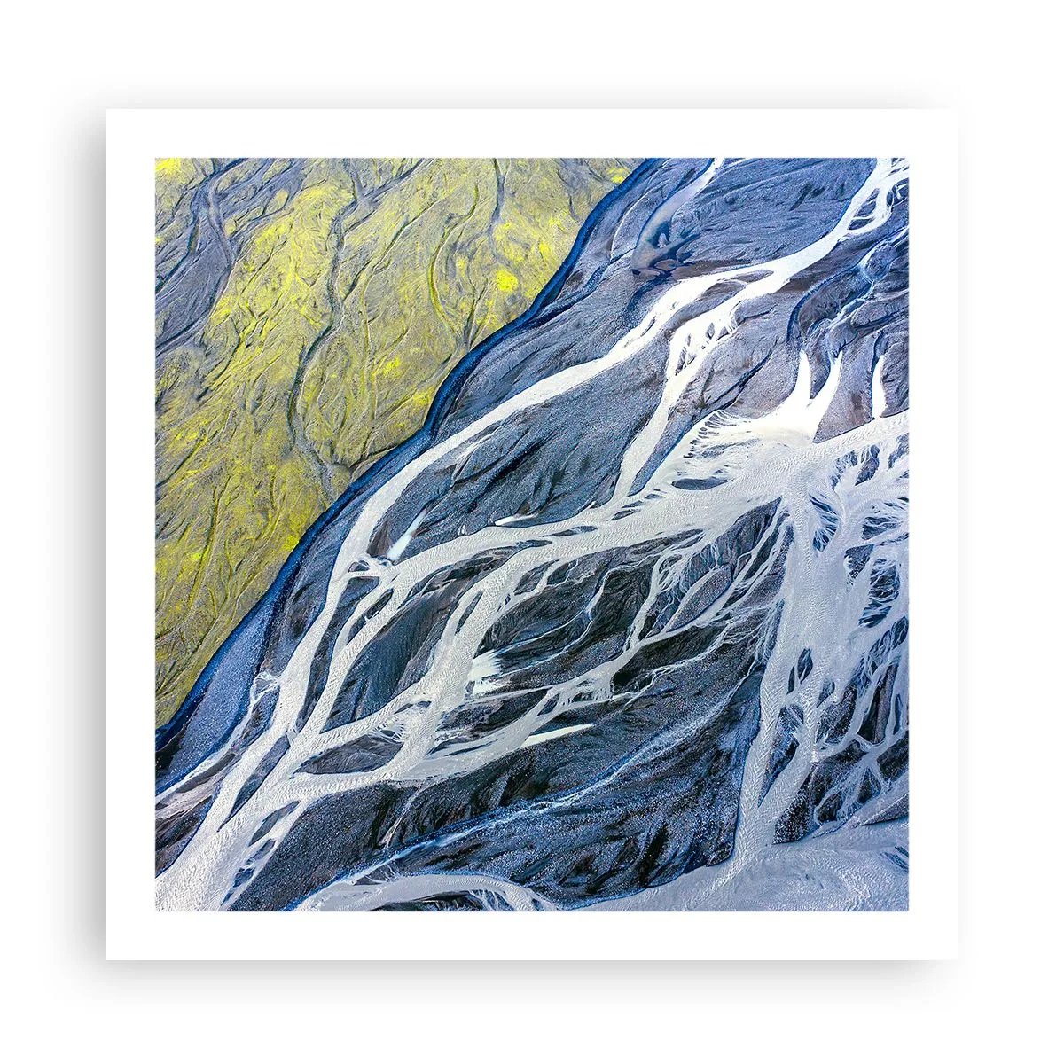 Póster - Las pinturas rupestres de la naturaleza - 60x60 cm