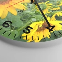 Esfera con numeración