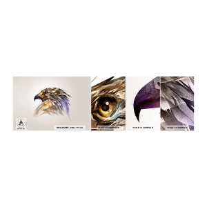 Muestra de fotomural autoadhesivo Deluxe Sticker - Retrato de un guerrero - Abstracción, Águila, Pájaro - 100x30 cm