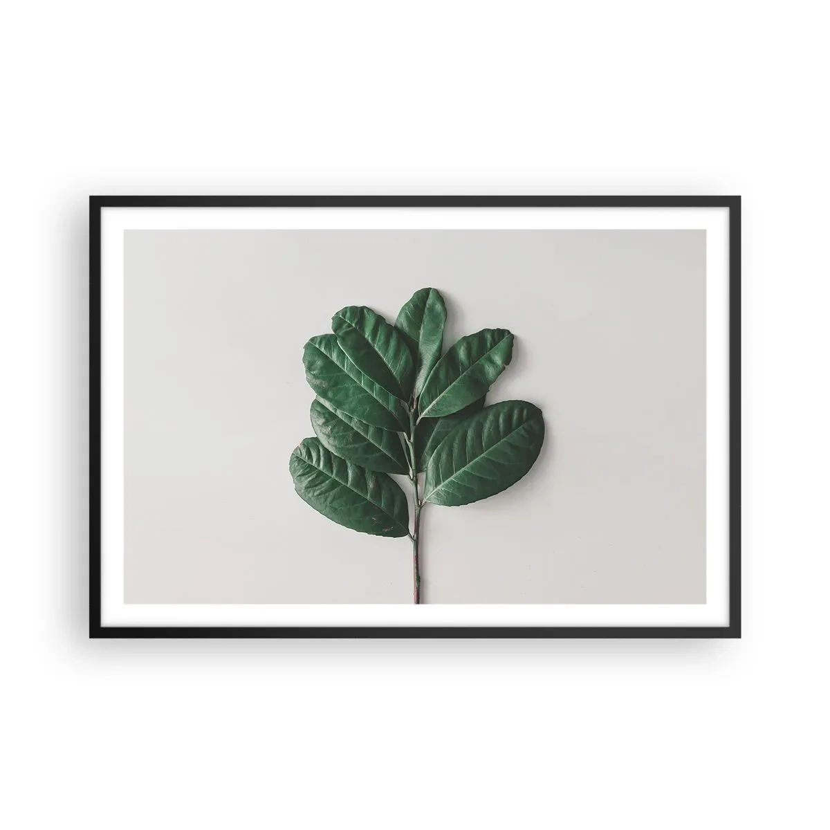 Póster en marco negro - El dibujo de la propia naturaleza - 91x61 cm