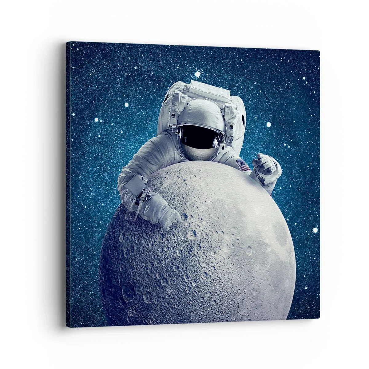 Cuadro sobre lienzo - Impresión de Imagen - Bromista espacial - 40x40 cm
