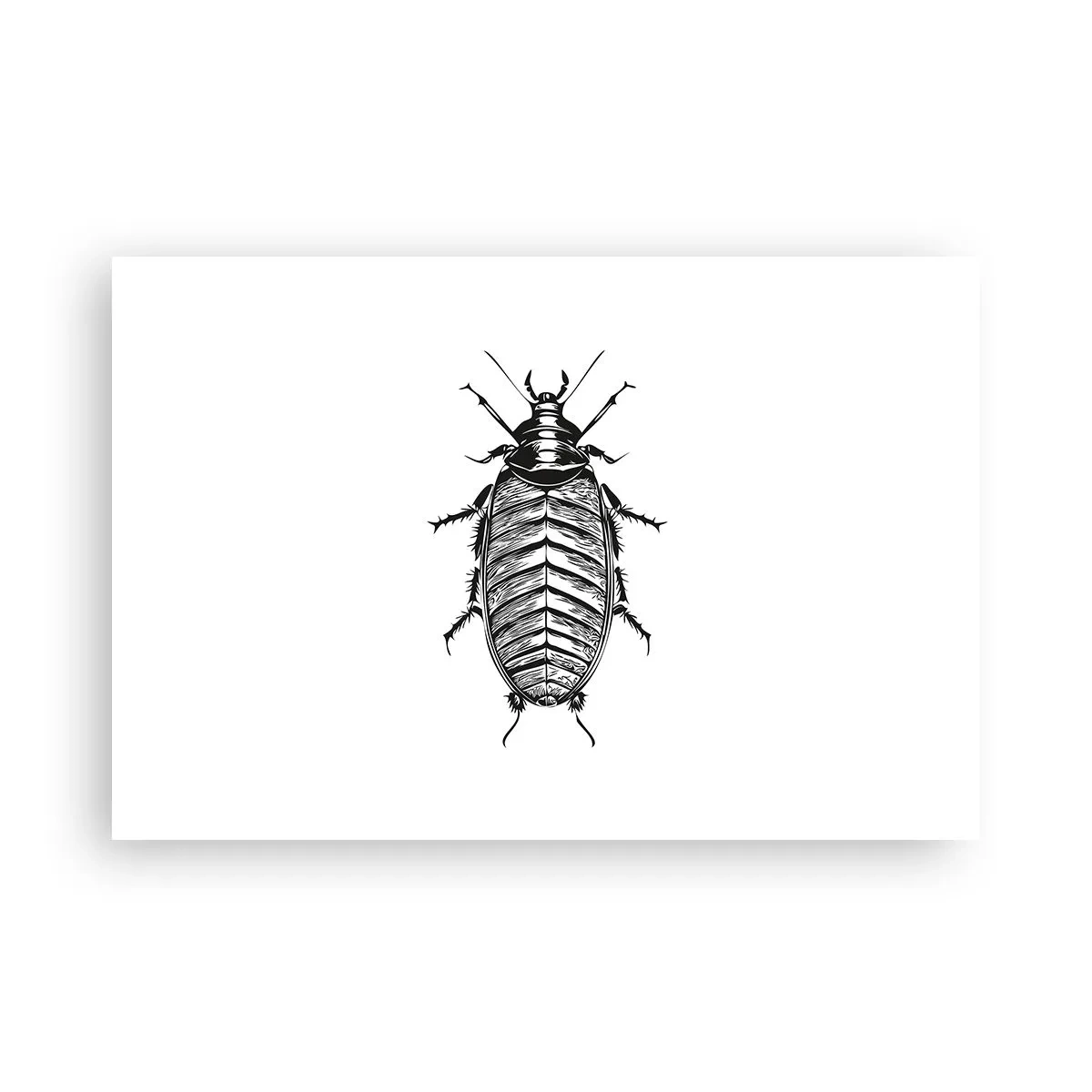 Póster - ¡Qué espécimen! - 91x61 cm