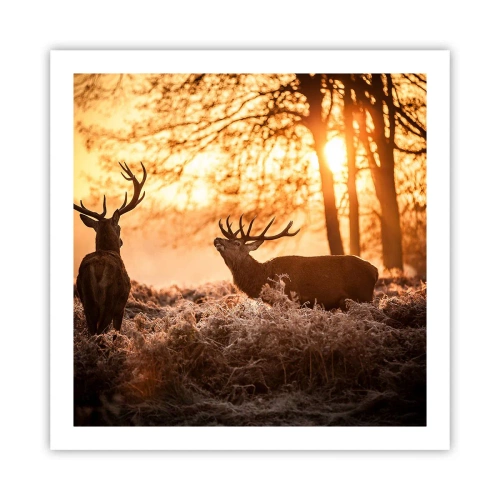 Póster - El sueño de un cazador - 60x60 cm