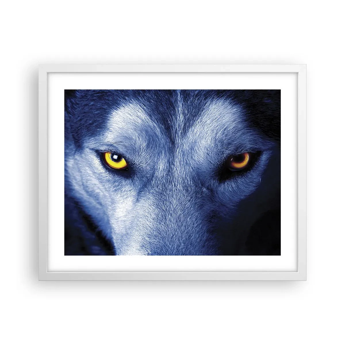 Póster en marco blanco - La mirada hipnótica - 50x40 cm