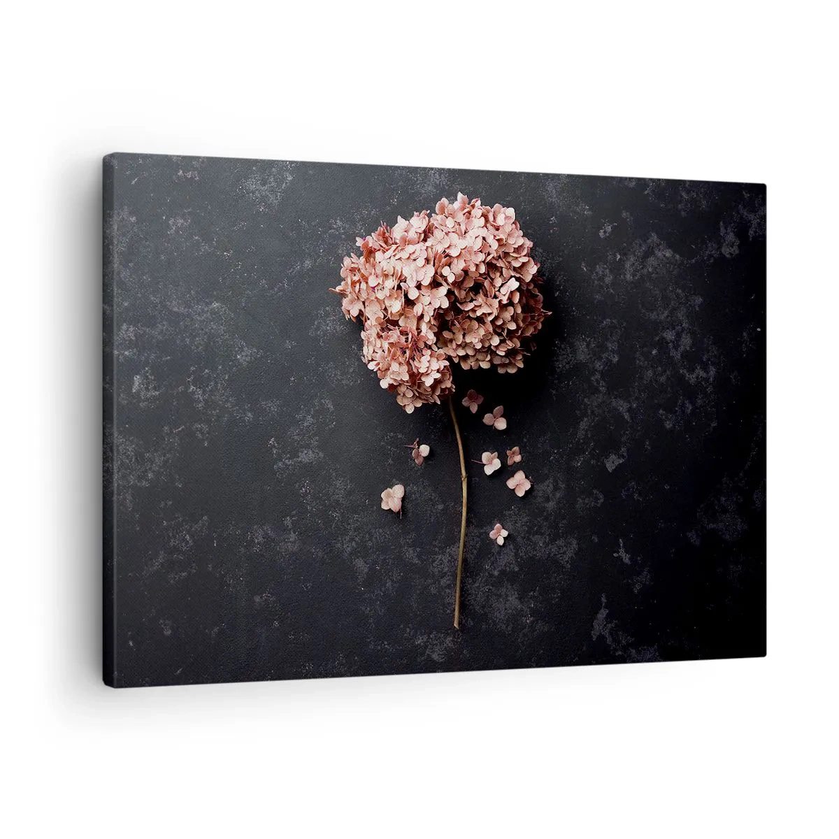Cuadro sobre lienzo - Impresión de Imagen - Un signo verdaderamente romántico - 70x50 cm