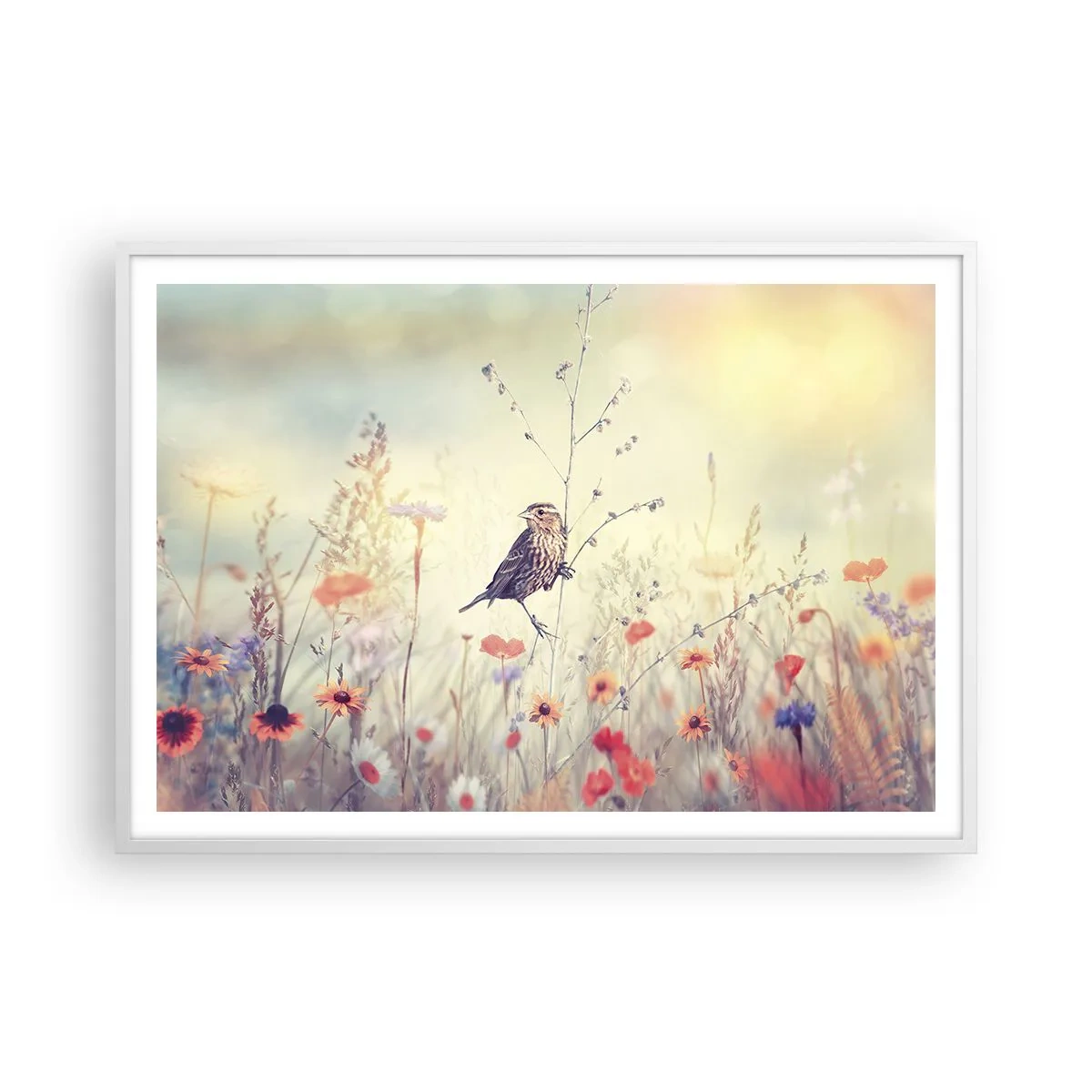 Póster en marco blanco - Retrato de pájaro con prado de fondo - 100x70 cm