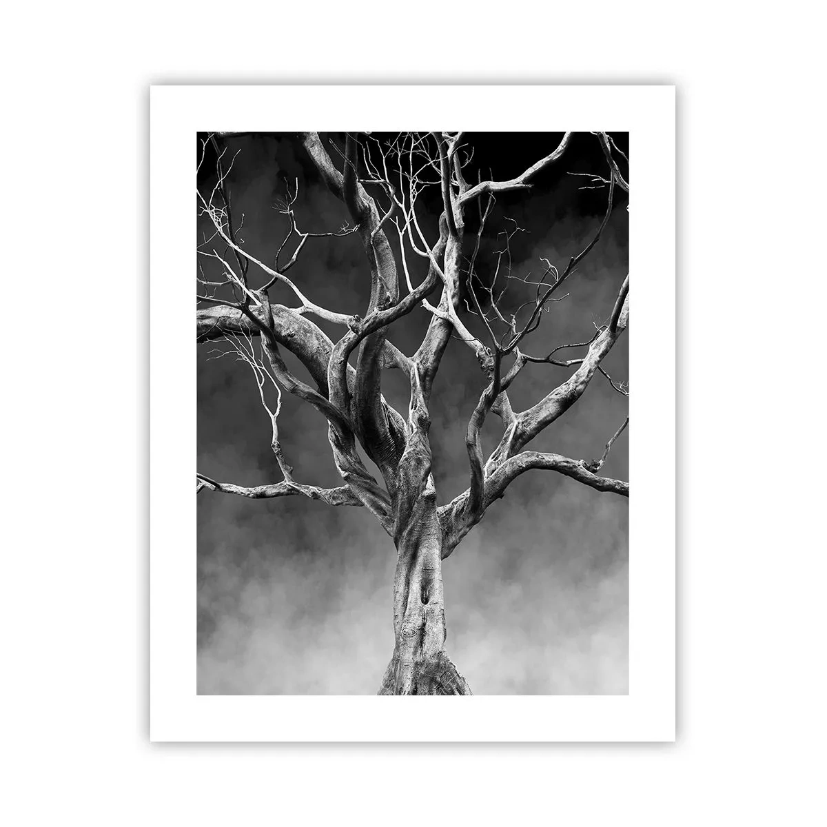 Póster - Primordial y sagrado - 40x50 cm