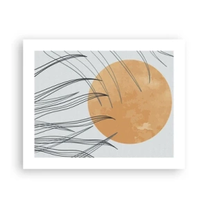 Póster - Siempre hacia el sol - 50x40 cm