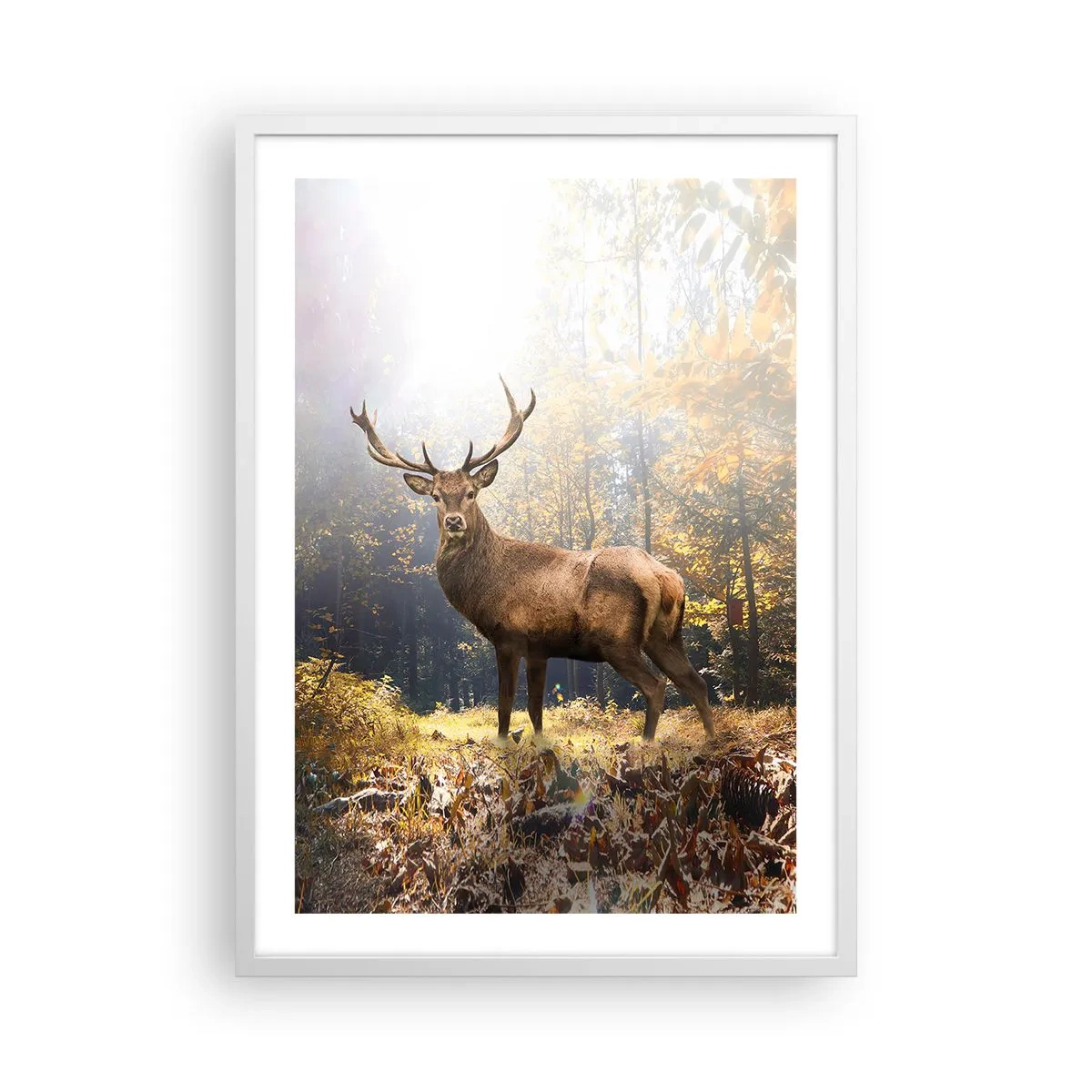 Póster en marco blanco - Con toda la majestuosidad - 50x70 cm