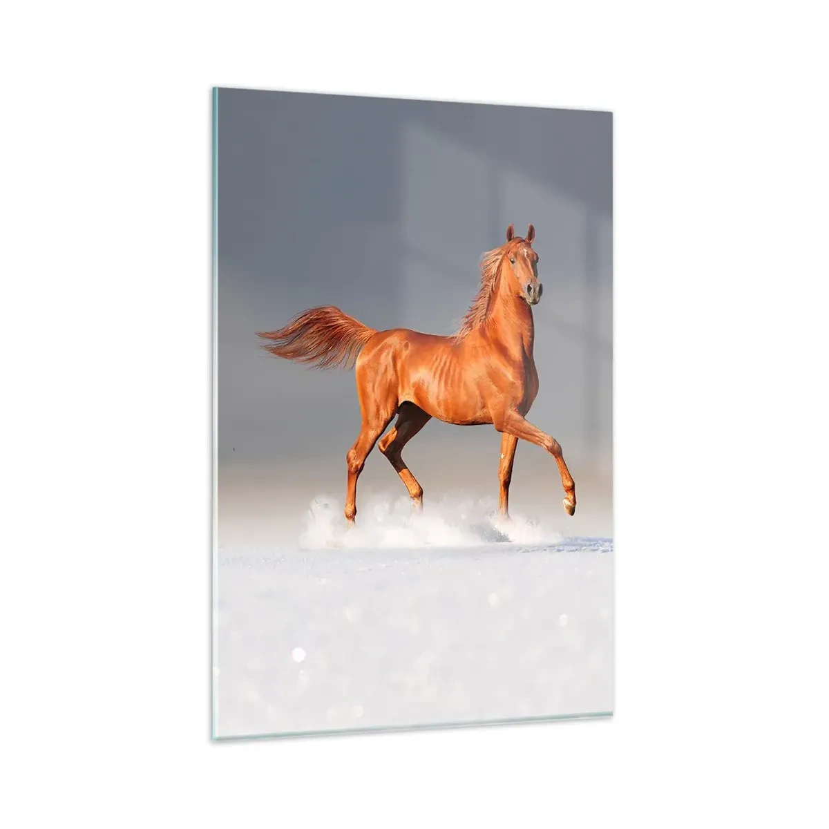 Cuadro sobre vidrio - Impresiones sobre Vidrio - Un caballo al galope contra un cielo azul. - 80x120cm - Danza al viento - Decoración de pared moderna para salón y dormitorio ARTTOR
