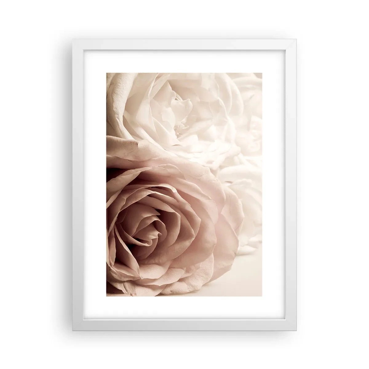 Póster en marco blanco - En el corazón de una rosa - 30x40 cm