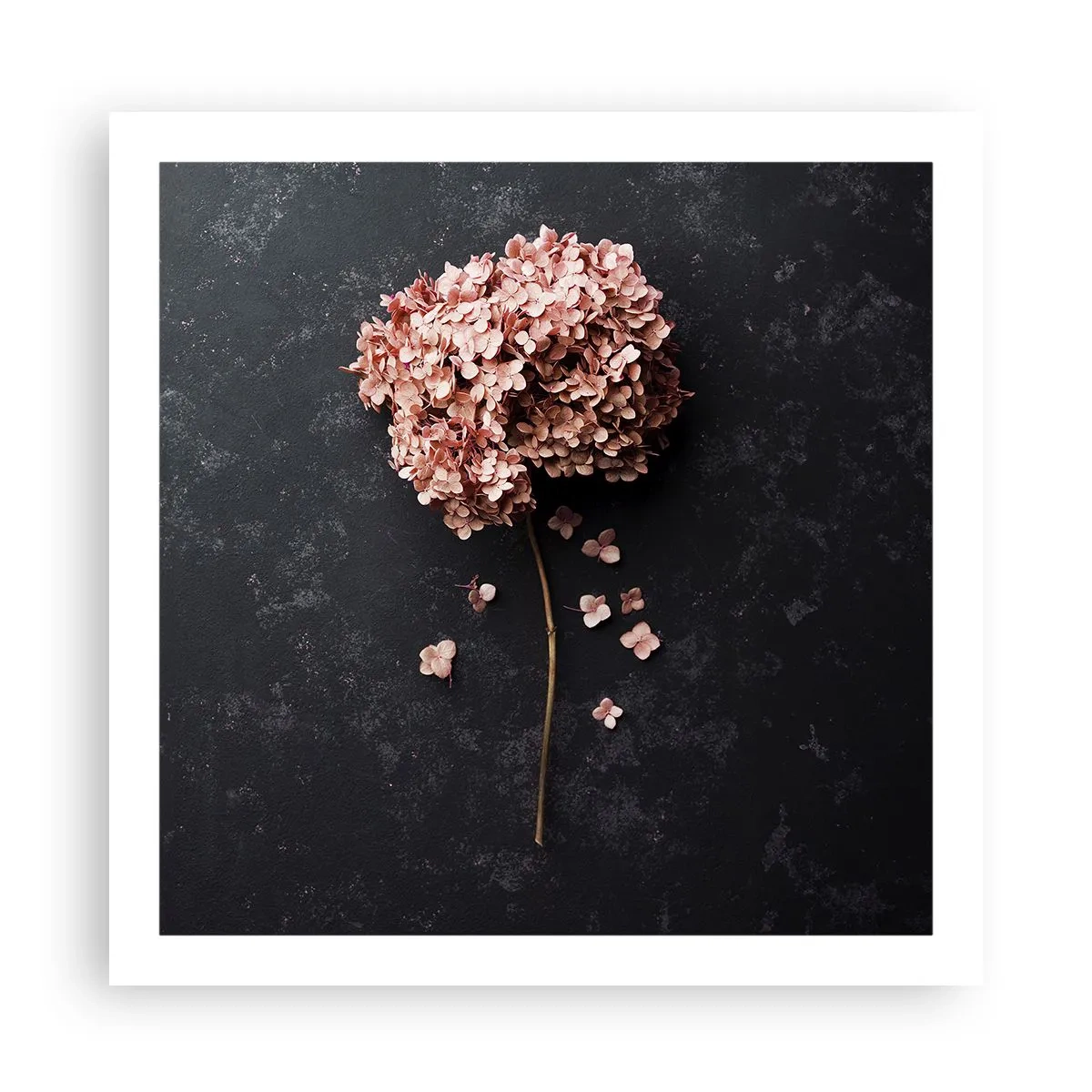 Póster - Un signo verdaderamente romántico - 60x60 cm