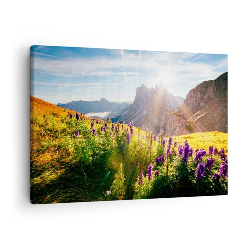 Cuadro sobre lienzo - Impresión de Imagen - Paisaje de montaña con flores a la luz del sol naciente. - 70x50cm - La vida secreta de las hierbas - Decoración de pared moderna para salón y dormitorio ARTTOR