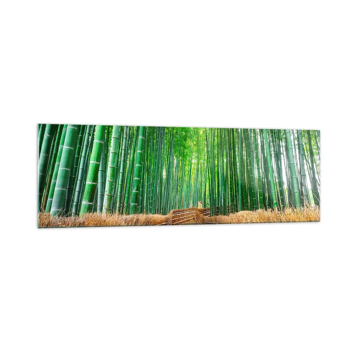 Cuadro sobre vidrio - Impresiones sobre Vidrio - Un camino en un denso bosque de bambú. - 160x50cm - La esencia de la naturaleza asiática - Decoración de pared moderna para salón y dormitorio ARTTOR
