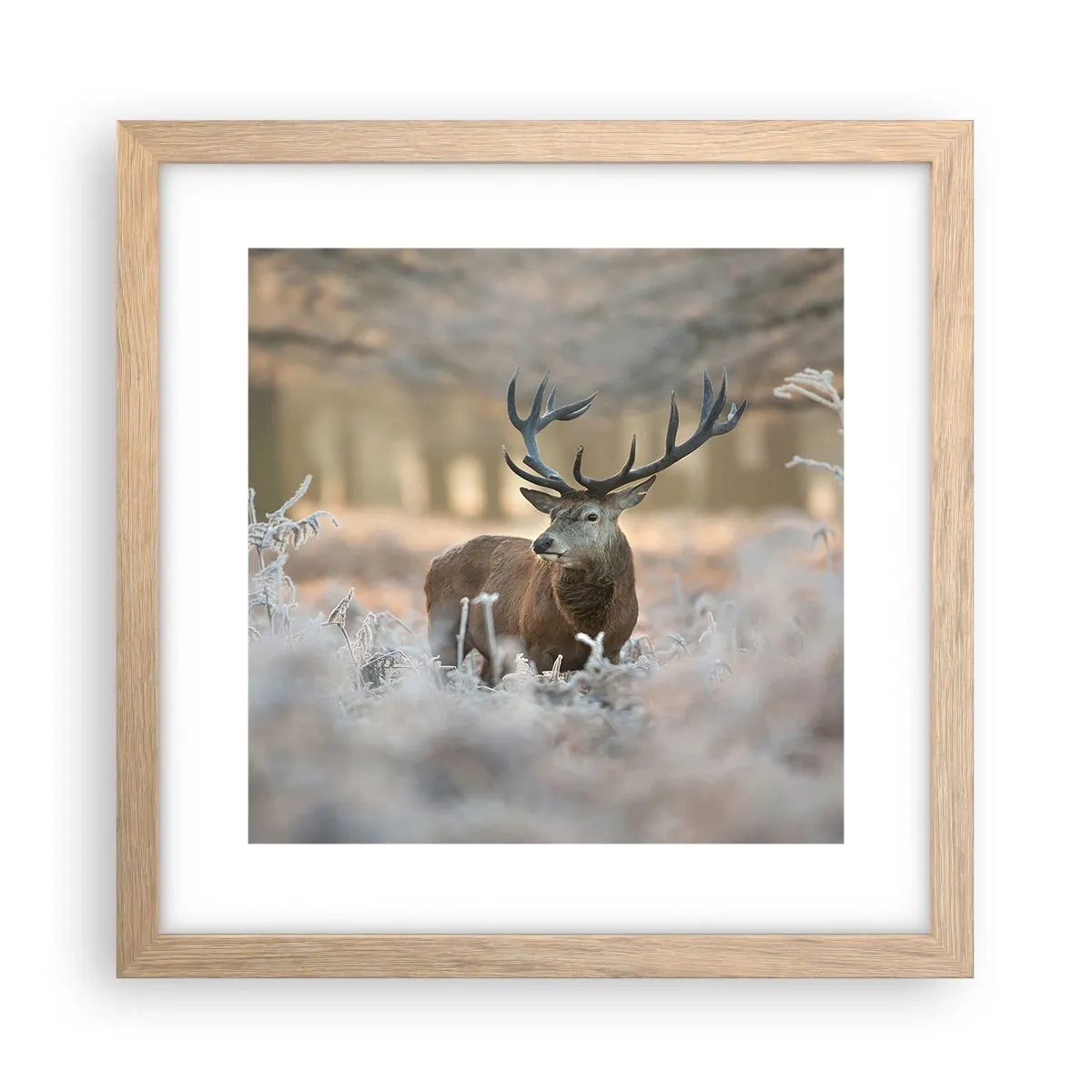 Póster en marco roble claro - Una mañana fresca - 30x30 cm